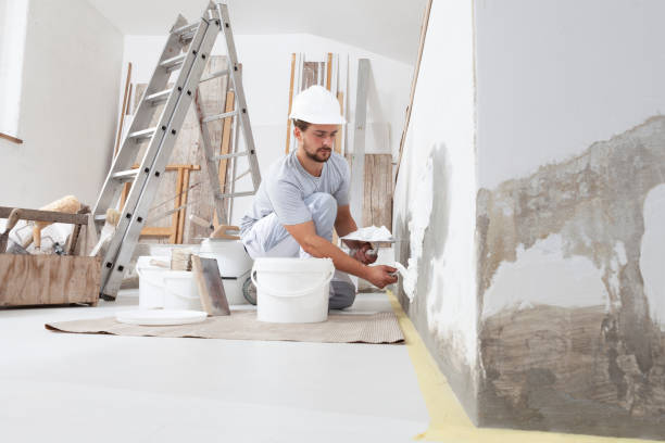 Best Commercial Mold Inspection  in Orwell, OH